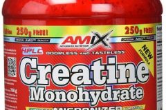 Creatina Monohidrato Micronizada