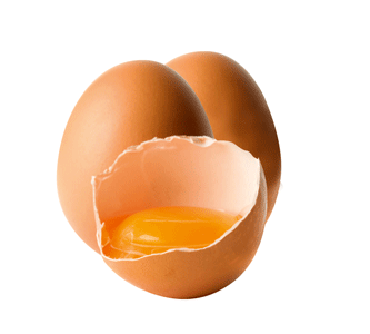 Huevos fuente deproteinas