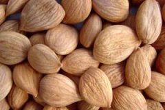 Cu&aacute;nta prote&iacute;na tomar