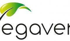 Vegavero