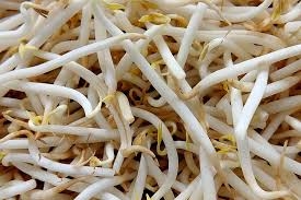 proteinas para veganos